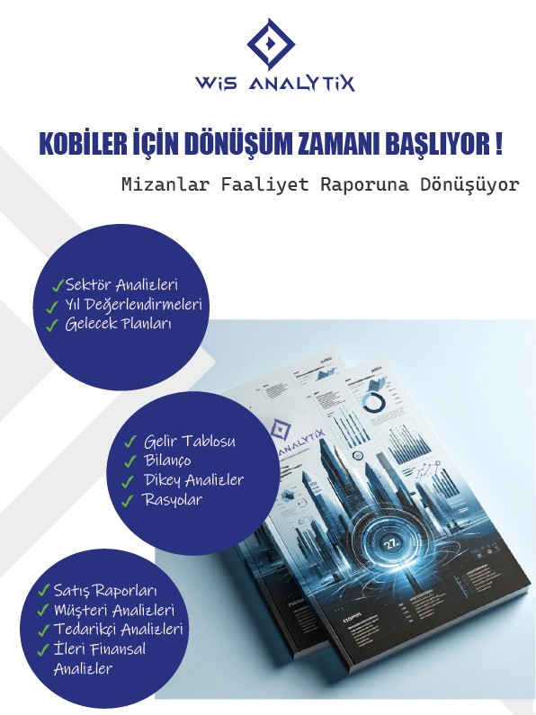 Wis Report Faaliyet Raporlaması ve Finansal Analiz Yazılımı